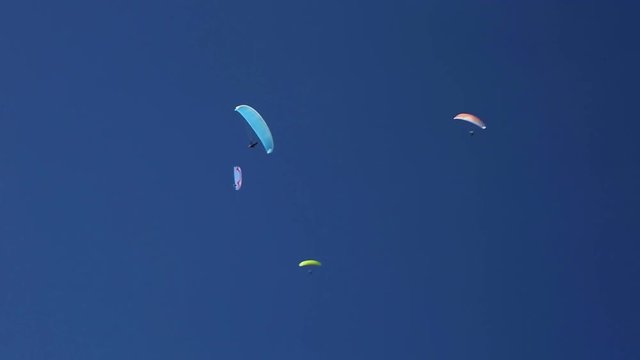 several paragliders gliding in the blue sky

