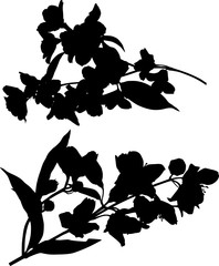 two black jasmin spring lush branch silhouettes