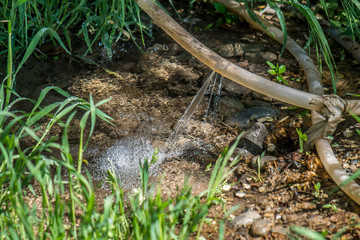 A stream of water from a torn hose