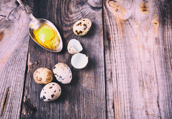 Group of quail eggs on a gray wooden surface,