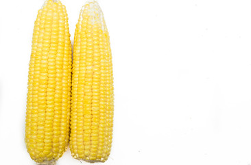 Sweet corn on the white background