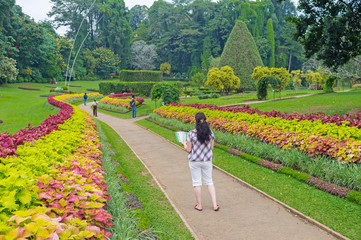 To discover Botanical Garden