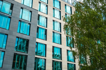 modern office facade with blue windows and a green tree