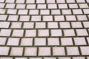 Obraz premium Pavement texture
