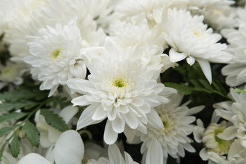 White Chrysanthemum bouquet