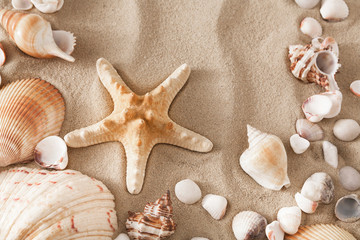 Fototapeta na wymiar Sea beach sand and seashells background, natural seashore stones and starfish