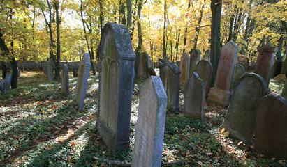 autumn on old jewish cemetery