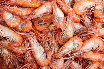 group of boiled giant freshwater prawn ready to eat at the fish market. selective focus.