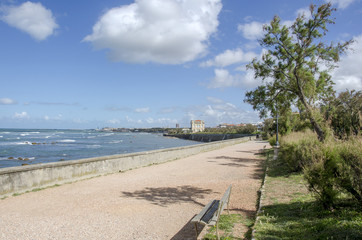 Fototapeta na wymiar Livorno, passeggiata a mare di Antignano.