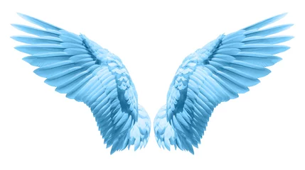 Fotobehang Natuurlijk blauw vleugelkleed © Naypong Studio