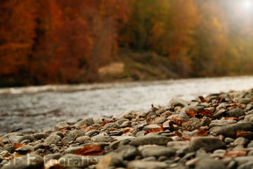 Herbst