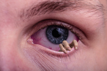 Auge