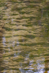Sandy bottom of stream and reflection in water