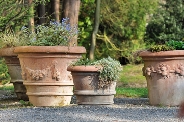 gros pots de fleurs en terrasse