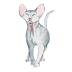 watercolor illustration of cat sphinx on white
