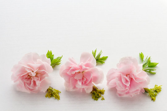 Mother's Day. Pink Carnations with green leaves and yellow flowers on a white background. Greeting Card.
