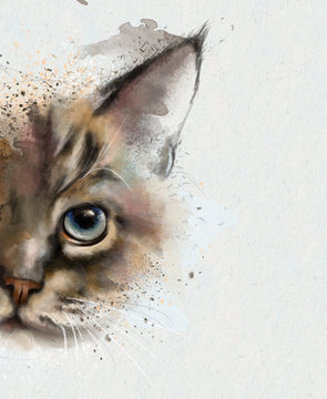 Watercolor animals. Watercolor portrait of a cat, half quizzically at the viewer. Closeup on white background