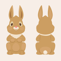 Fototapeta premium Bunny/rabbit front and back view