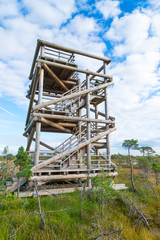 A wooden lookout tower used by birdwatchers. Kemeri, Latvia