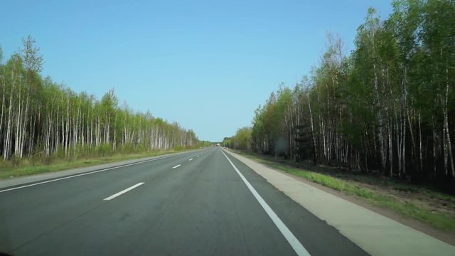 The movement of the car  the road along the young forest. 