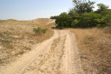 Fototapeta na wymiar Car tracks on the sand dunes
