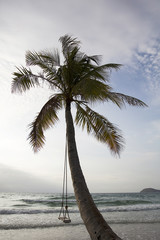 Swing on a tropical beach