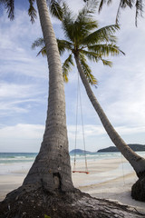 Swing on a tropical beach
