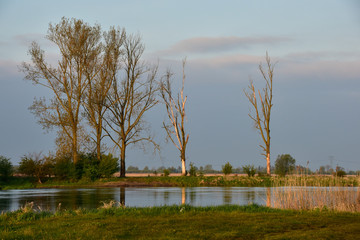 Rzeka Warta © Agnieszka Witczak