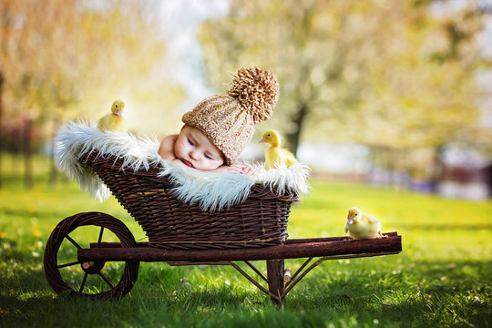Beautiful little baby boy, sleeping with three little ducklings in a cart