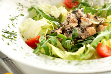 Delicious colorful salad with chicken and arugula