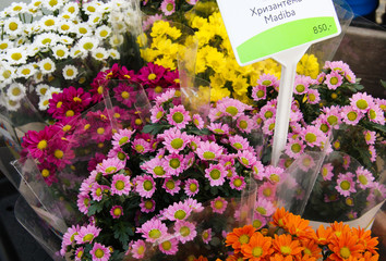 Flower market items