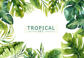 Hand drawn watercolor tropical plants background. Exotic palm leaves, jungle tree, brazil tropic borany elements. Perfect for fabric design. Aloha art. - obrazy, fototapety, plakaty