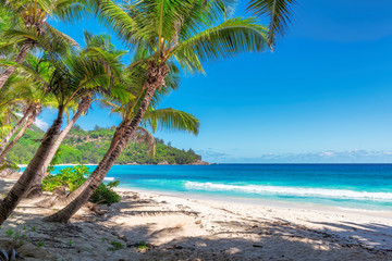 Tropical beach, paradise on Seychelles, island Mahe.