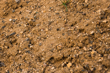 Crayons sand