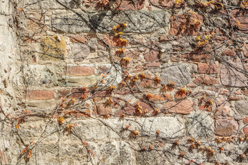 alte Mauer