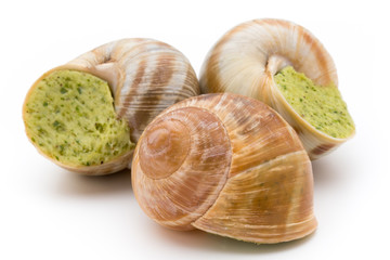 Cooked snails delicacy. French cuisine stuffed snails.