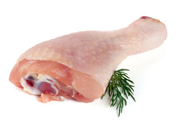 raw chicken drumstick with a sprig of dill isolated on white background