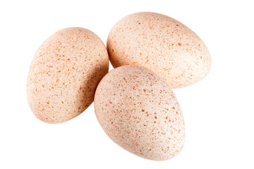 three turkey eggs isolated on white background close-up