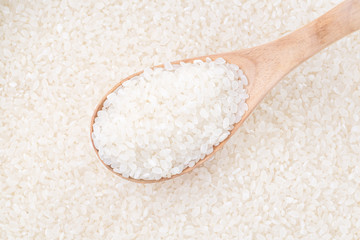 japanese rice, short grain rice