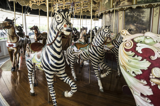 Vintage restored carousel hand carved wooden zebras on a merry go round ride