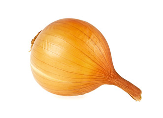 Ripe yellow onion on a white background