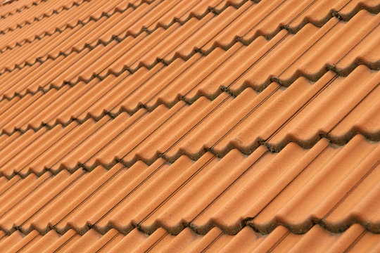 Roof tiles on the roof of an old building - Powered by Adobe