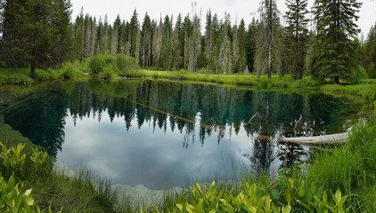 Fototapeta na wymiar Little crater lake, Oregon