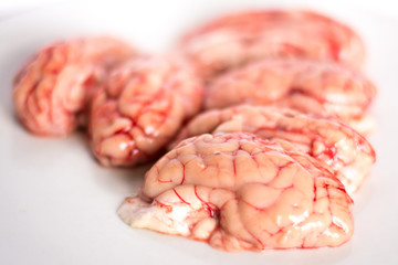closeup of a brains on white background