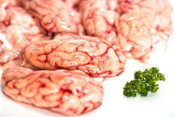 closeup of a brains with Parsley on white background