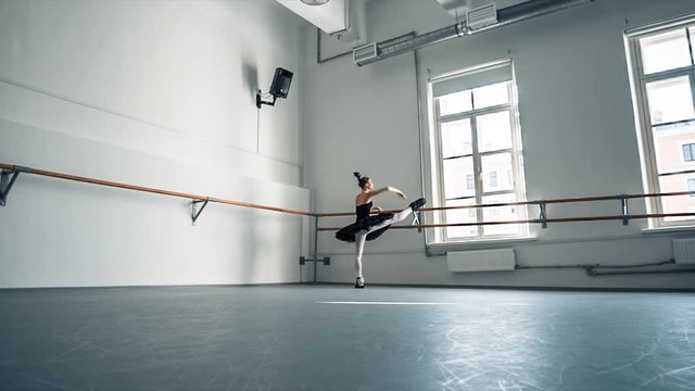 Fine Art Ballet Concept