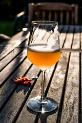 Bellini Cocktail made with peach in wine glass at garden