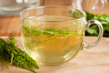 Horsetail tea made from fresh horsetail