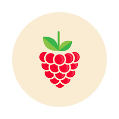 cartoon raspberry icon vector