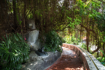 Staircase shaded by plants and trees at the Golden Mount at Wat Saket in Bangkok, Thailand. © tuomaslehtinen
